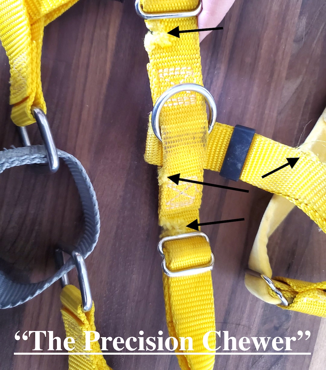 Harness Repair & Warranty